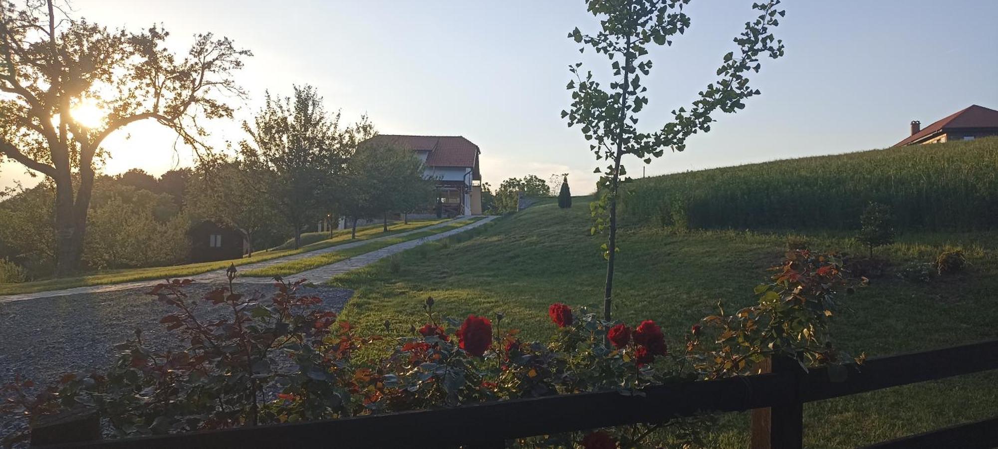 Stari Trsic Apartment Exterior foto